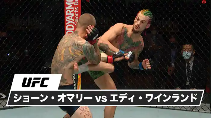 ショーン・オマリー vs. エディ・ワインランド