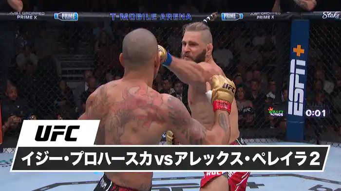 イジー・プロハースカ vs. アレックス・ペレイラ2