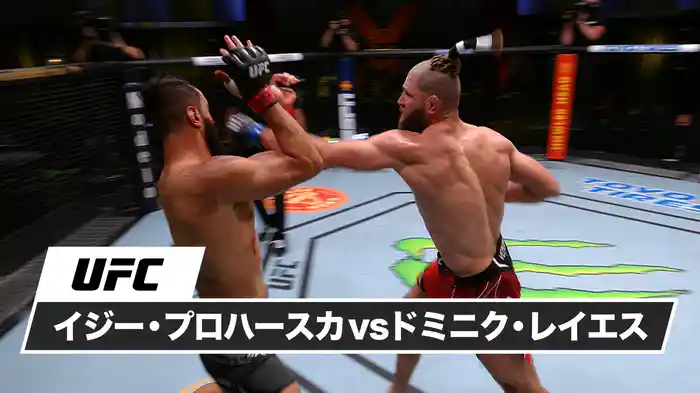 イジー・プロハースカ vs. ドミニク・レイエス