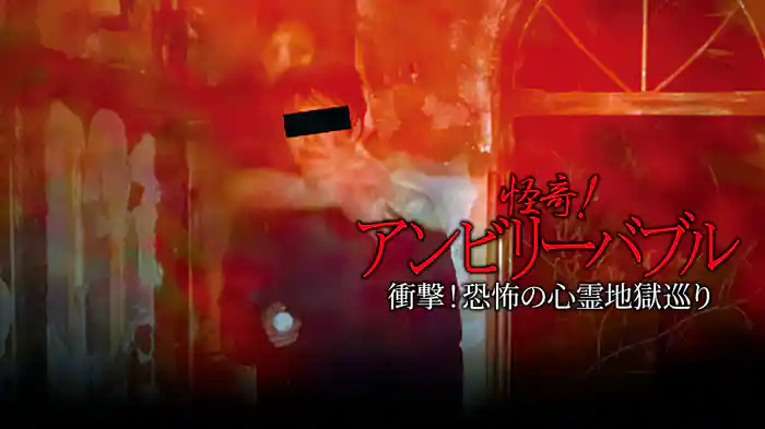 怪奇！アンビリーバブル　衝撃！恐怖の心霊地獄巡り