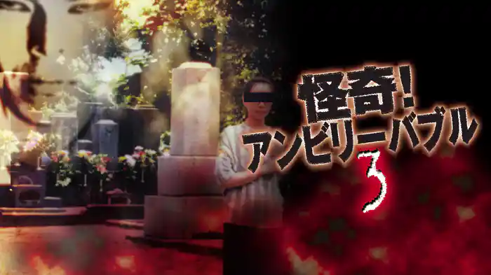 怪奇！アンビリーバブル3