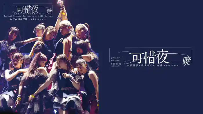 つばきファクトリー コンサートツアー 2023秋 可惜夜～山岸理子・岸本ゆめの 卒業スッぺシャル～暁
