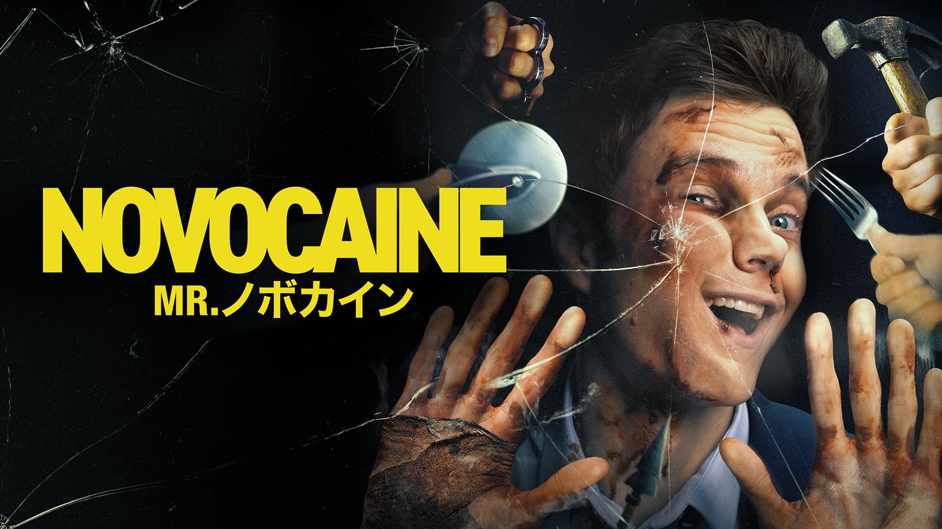 Mr.ノボカイン