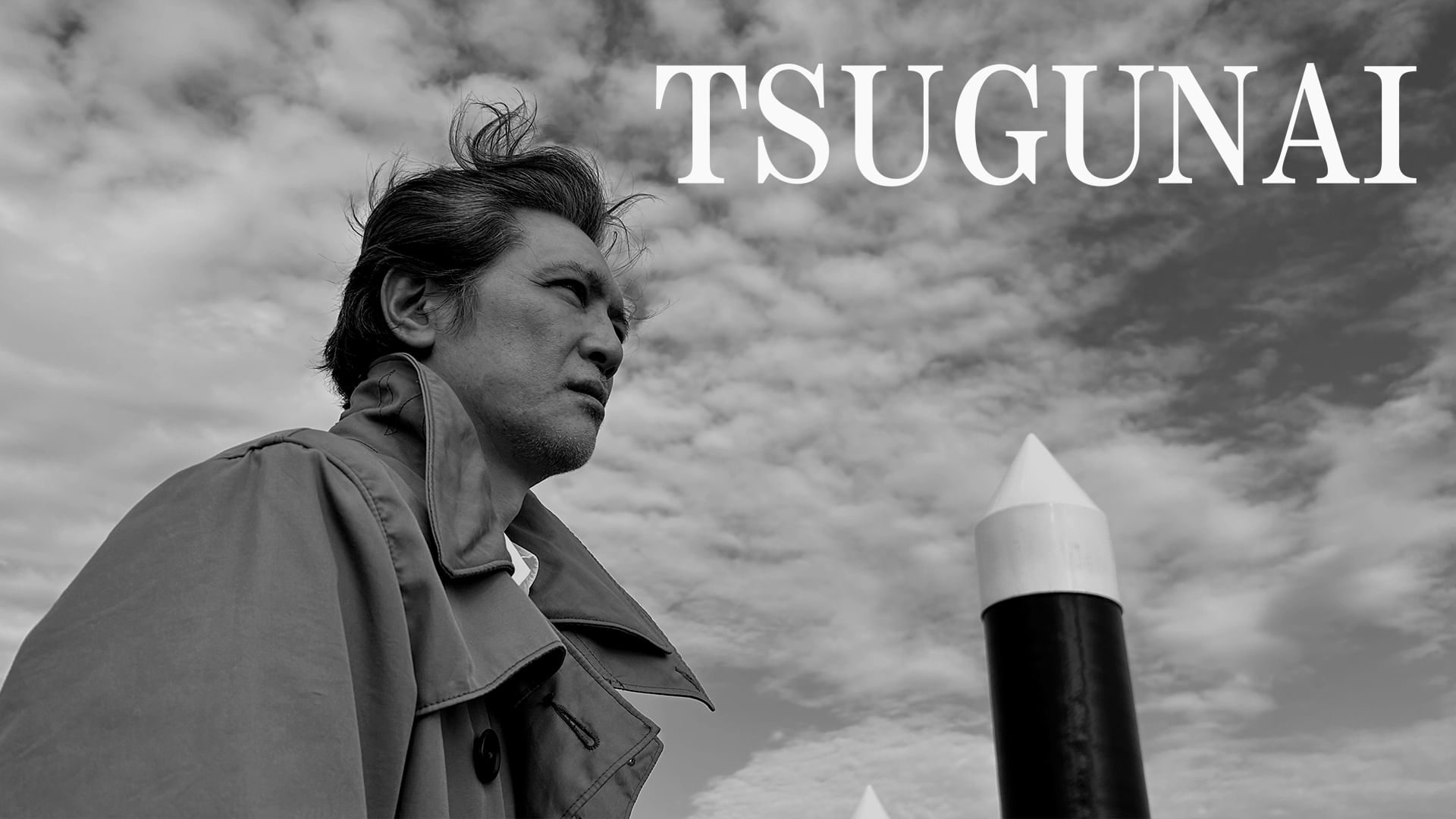 TSUGUNAI