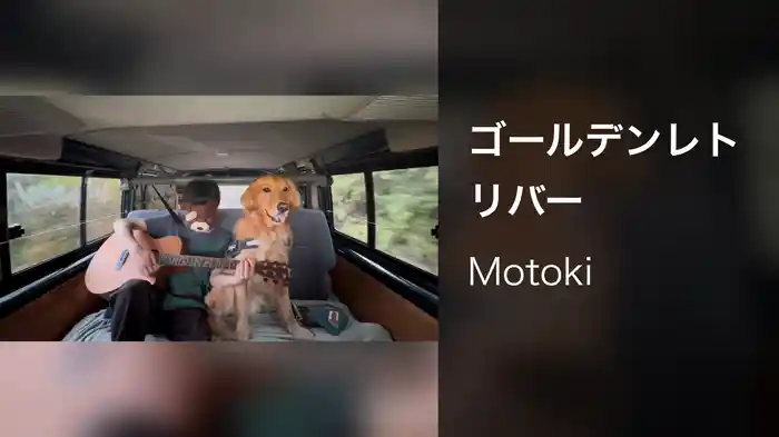 ゴールデンレトリバー