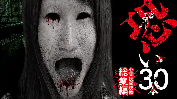 恐い30本 心霊投稿映像総集編