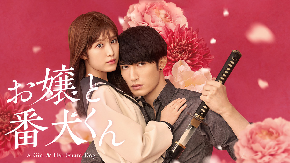 DVD お嬢と番犬くん　レンタル落ち DVD お嬢と番犬くん レンタル落ち お嬢と番犬くん - 赤髪船長