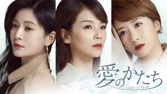 愛のかたち～Love is true～