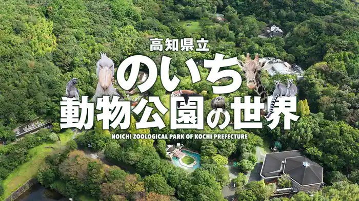 高知県立のいち動物公園の世界