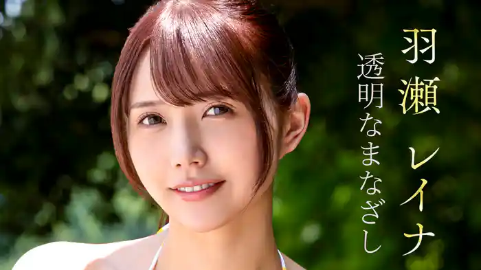 羽瀬レイナ『透明なまなざし』