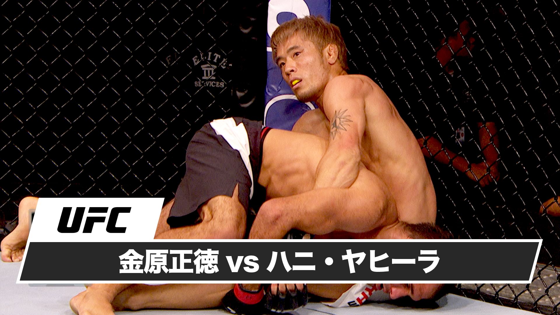 金原正徳vsハニ・ヤヒーラ