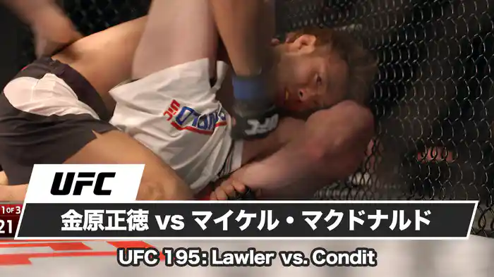 金原正徳vsマイケル・マクドナルド【UFC 195: Lawler vs. Condit】