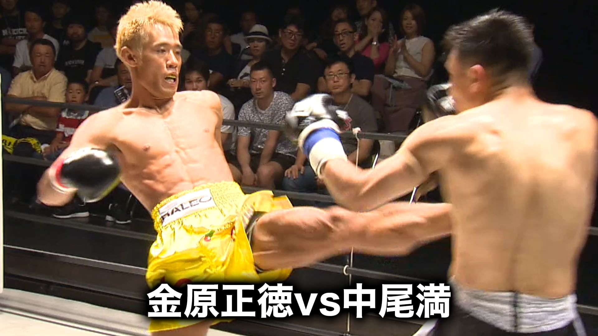 金原正徳vs中尾満