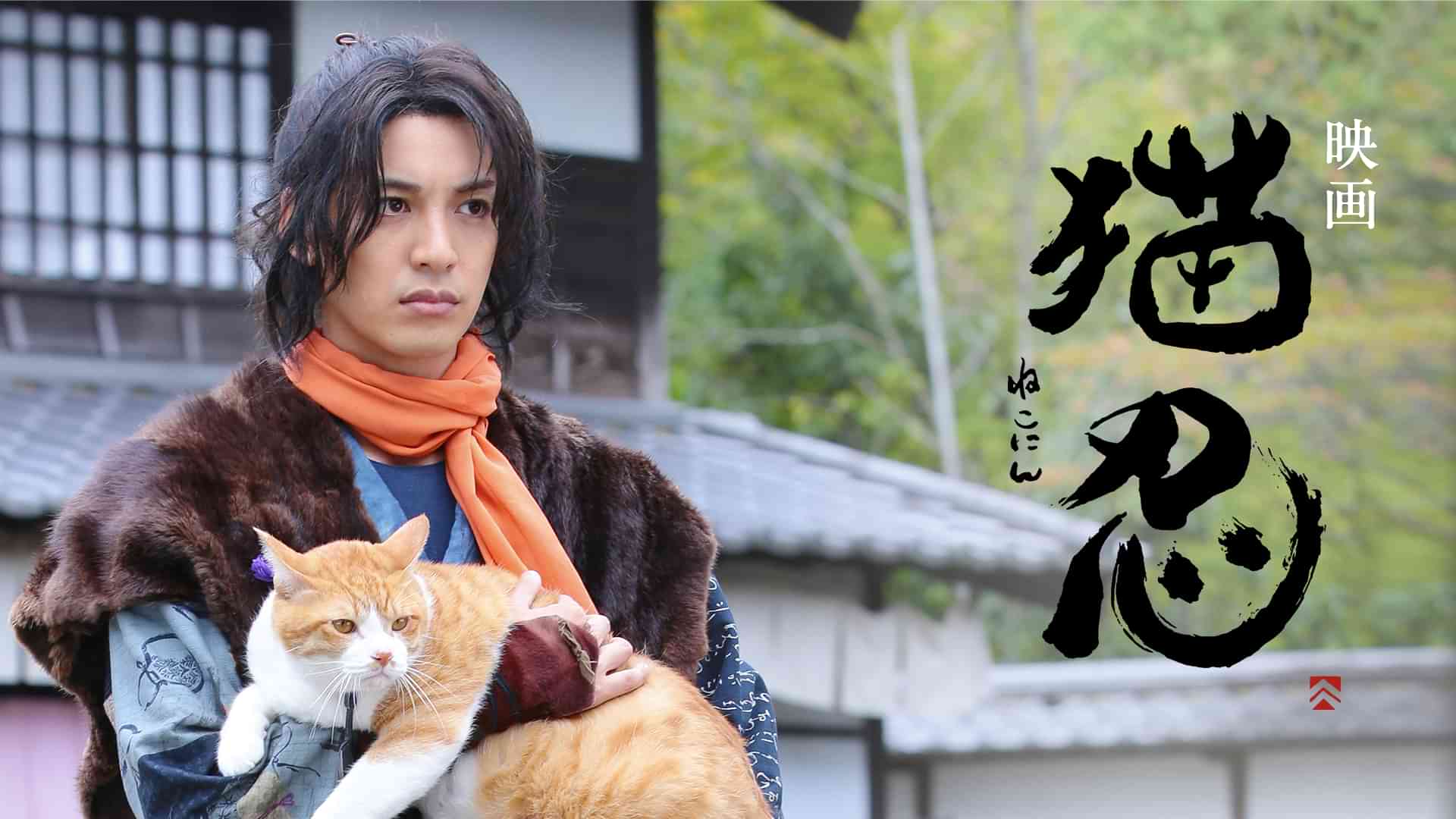 映画猫忍