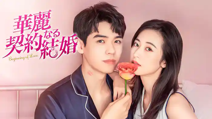 華麗なる契約結婚