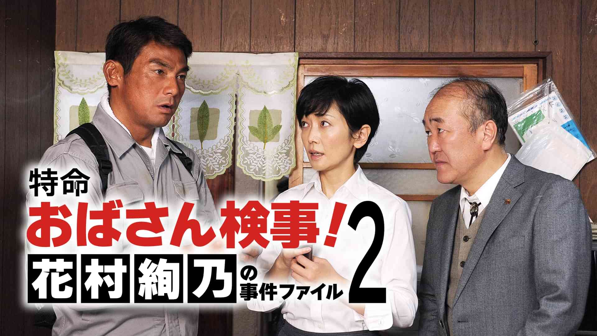 特命おばさん検事! 花村絢乃の事件ファイル2