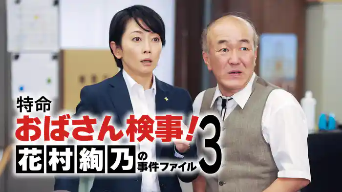 特命おばさん検事! 花村絢乃の事件ファイル3