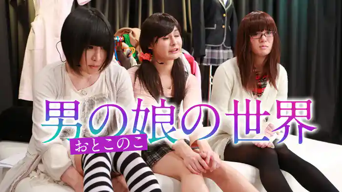 男の娘の世界
