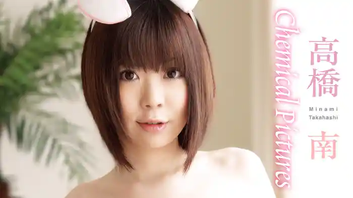 高橋南『Chemical Pictures』