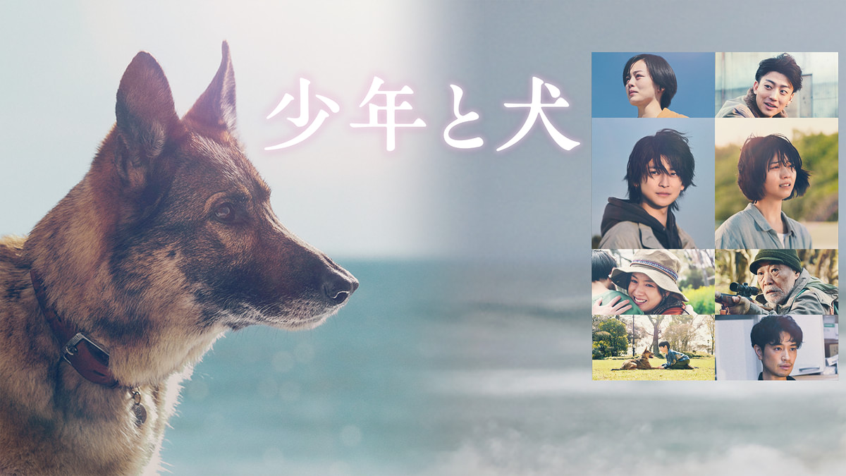 少年と犬(邦画 / 2024) - 動画配信 | U-NEXT 31日間無料トライアル