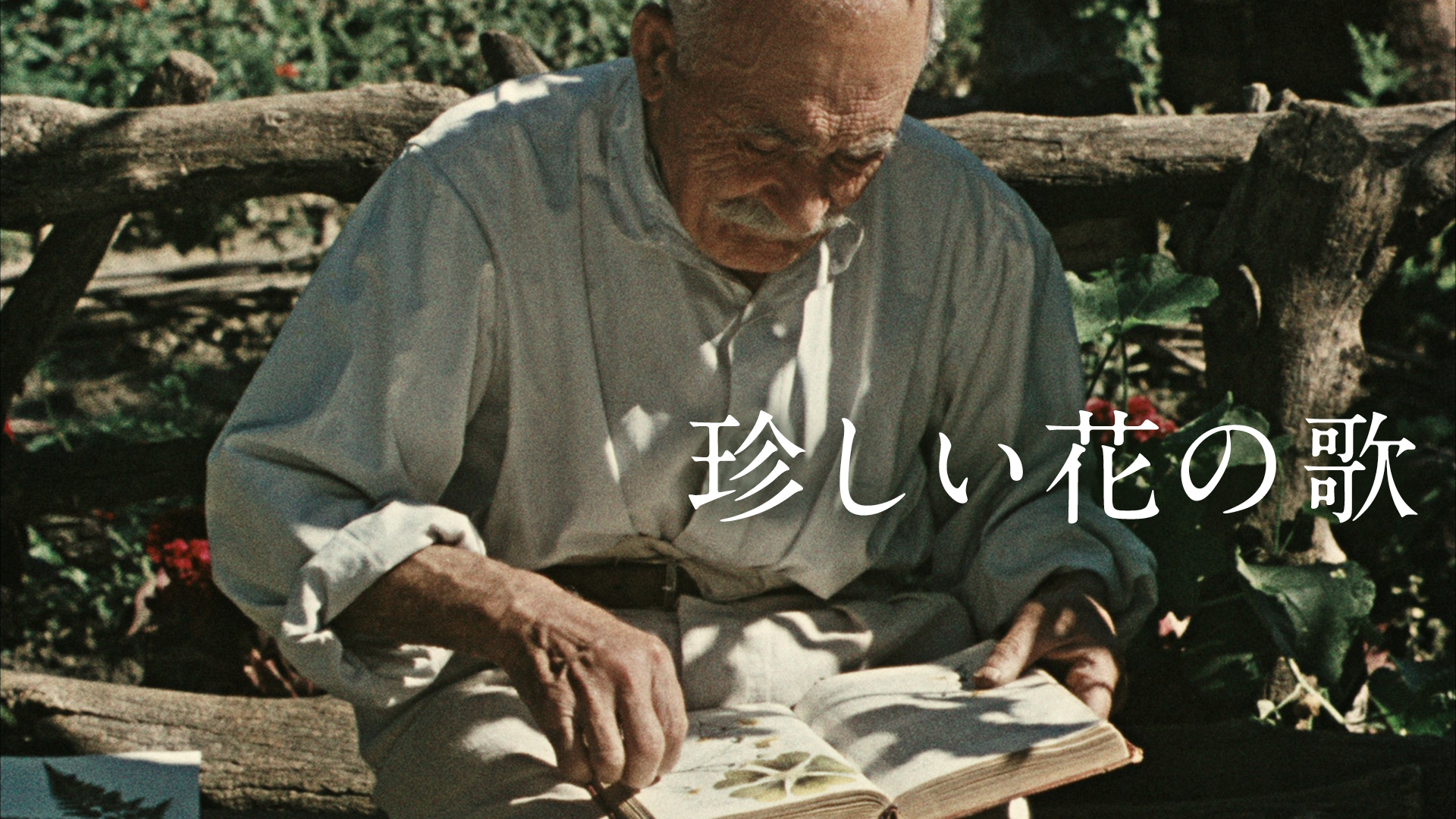珍しい花の歌 - サムネイル