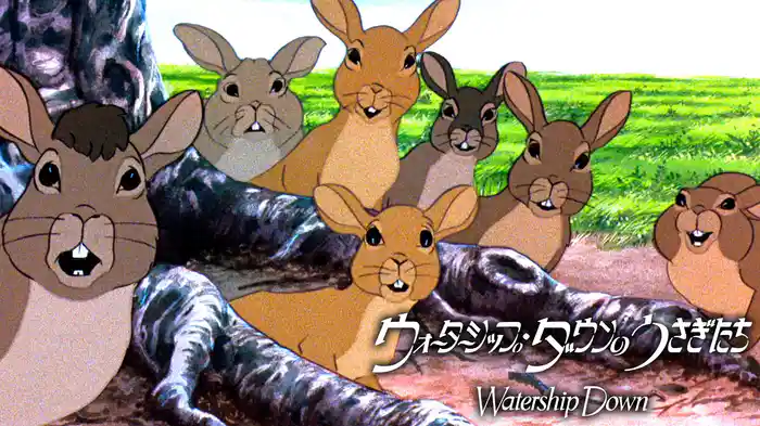 ウォーターシップ・ダウンのうさぎたち HDリマスター版
