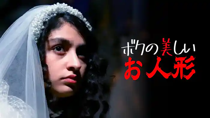 ボクの美しいお人形