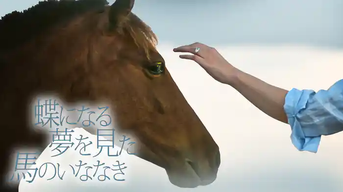蝶になる夢を見た馬のいななき