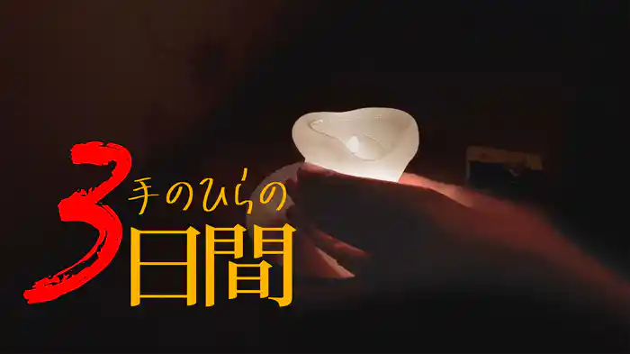 手のひらの３日間