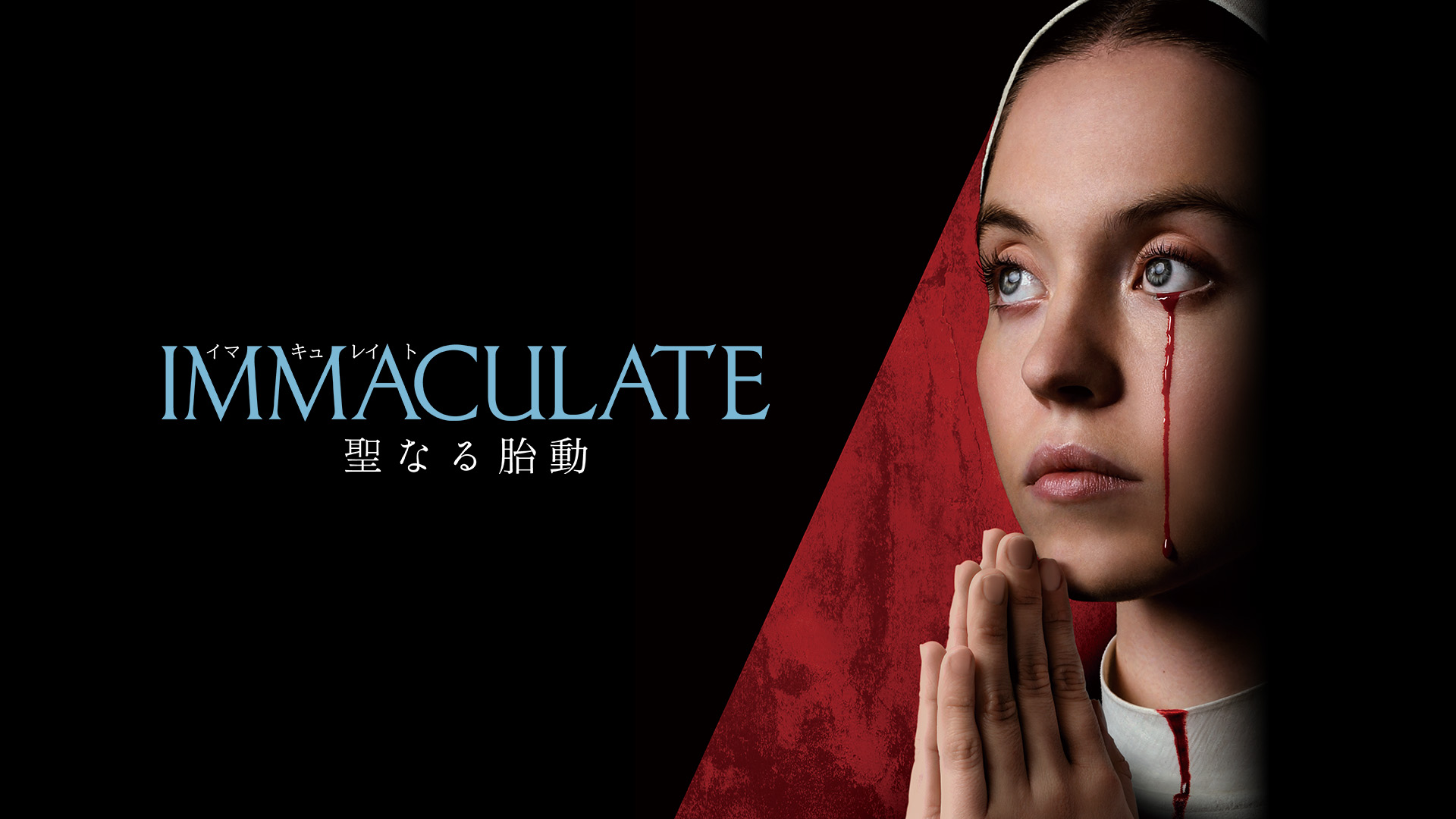 IMMACULATE 聖なる胎動 - サムネイル
