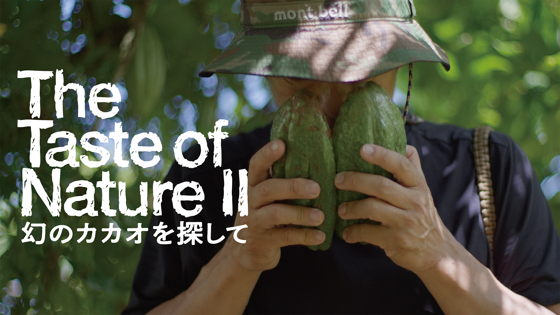 The Taste of Nature Ⅱ 幻のカカオを探して - サムネイル