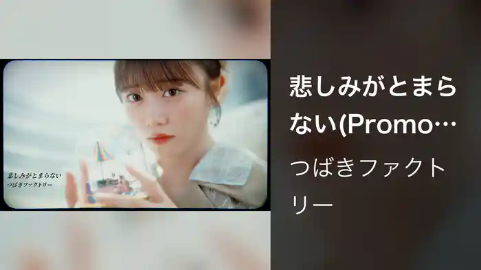 『悲しみがとまらない』(Promotion Edit)