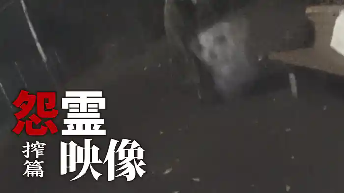 怨霊映像 搾篇