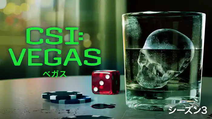 CSI：ベガス シーズン３