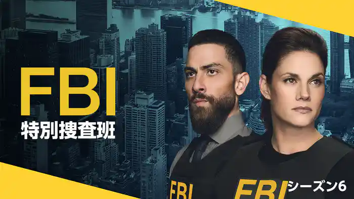 FBI：特別捜査班 シーズン6