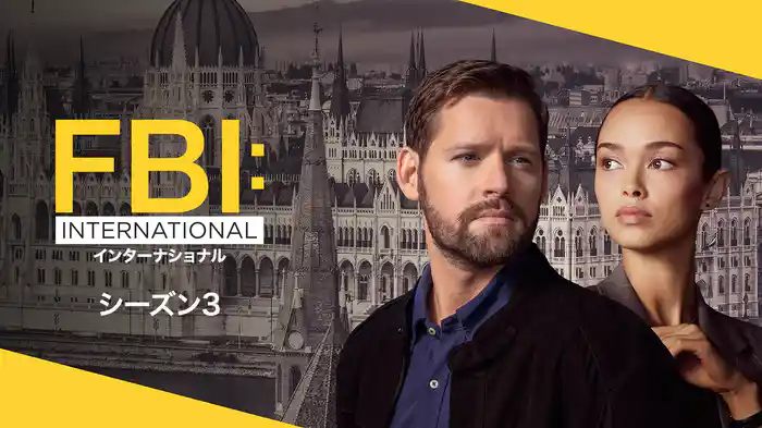 FBI：インターナショナル シーズン3