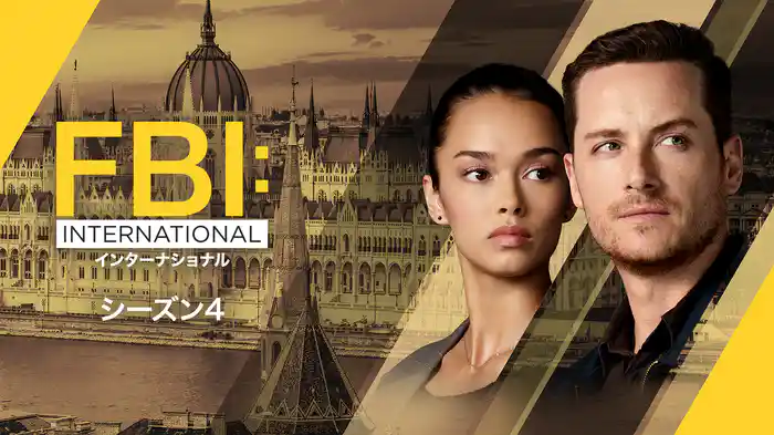 FBI：インターナショナル シーズン4