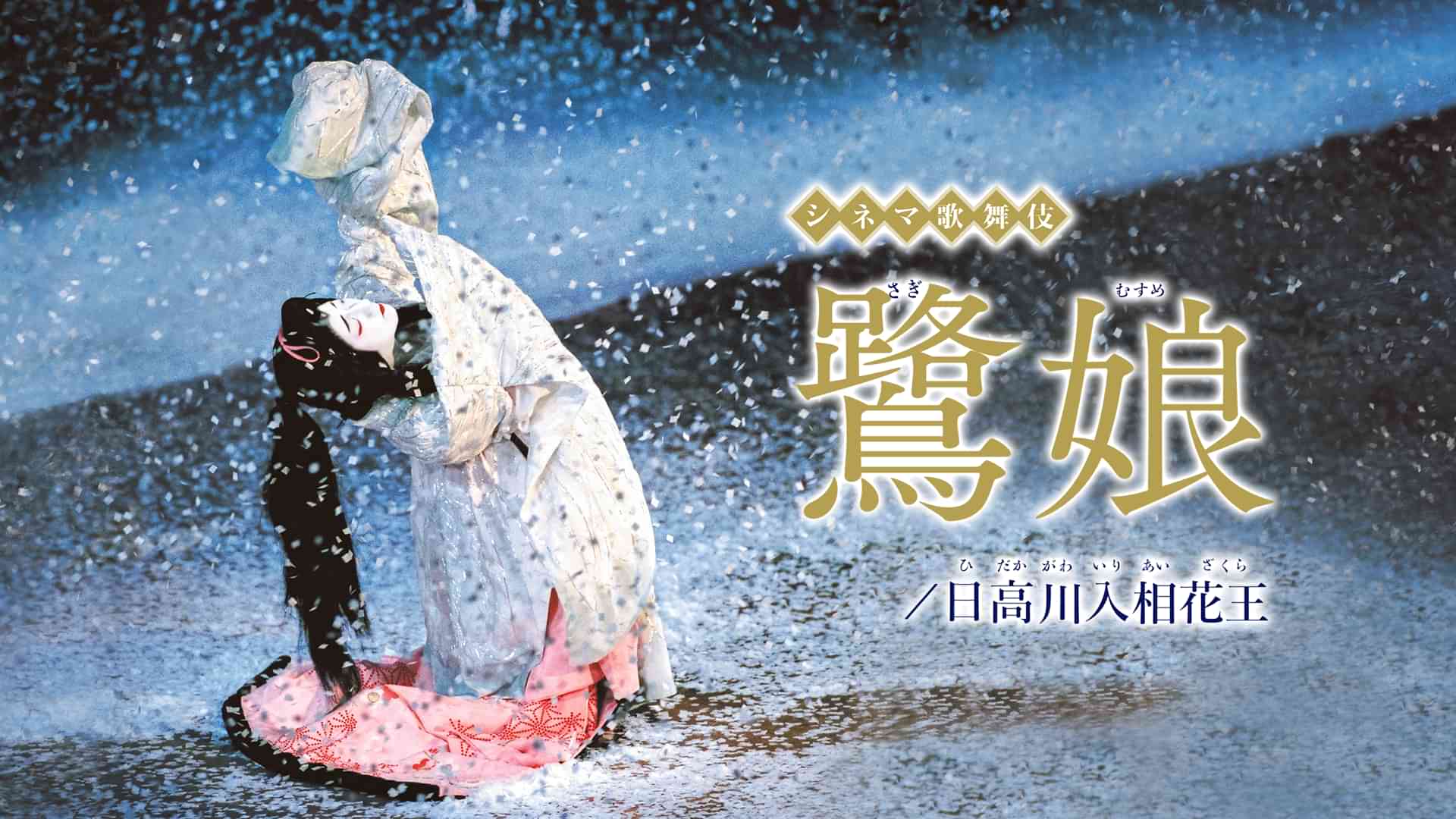 シネマ歌舞伎「鷺娘／日高川入相花王」
