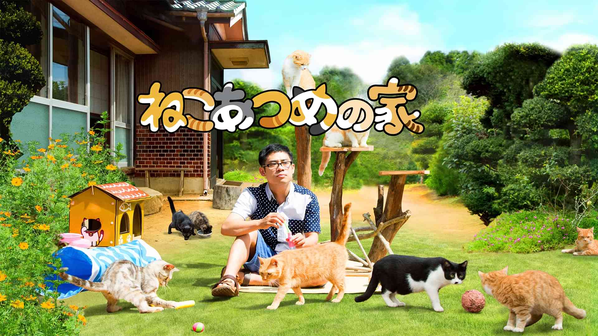 ねこあつめの家