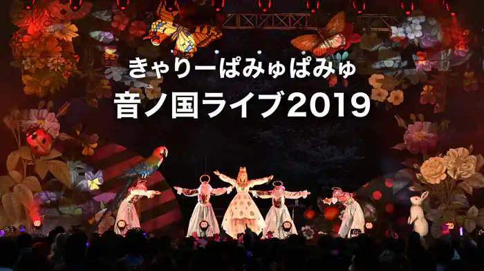 きゃりーぱみゅぱみゅ音ノ国ライブ2019