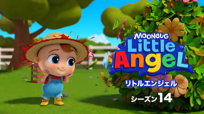 リトルエンジェル シーズン１４