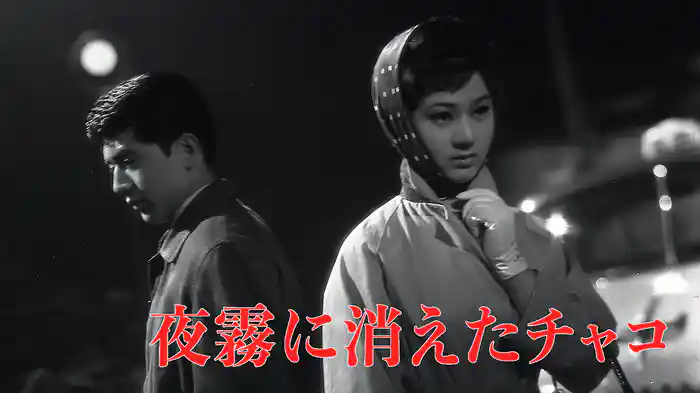 夜霧に消えたチャコ