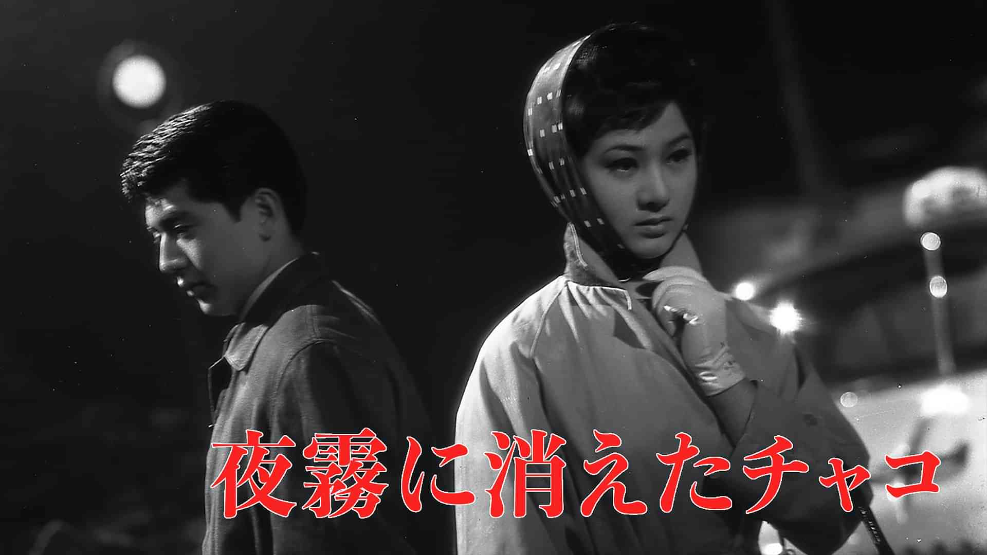 夜霧に消えたチャコ