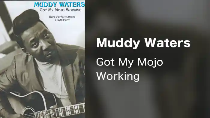 Muddy Waters - Got My Mojo Working