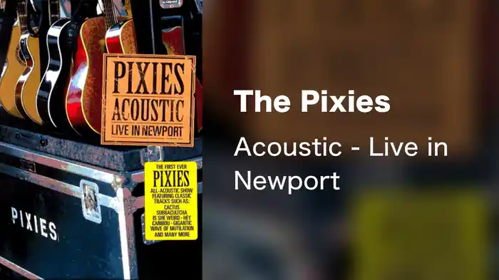 The Pixies - Acoustic - Live in Newport