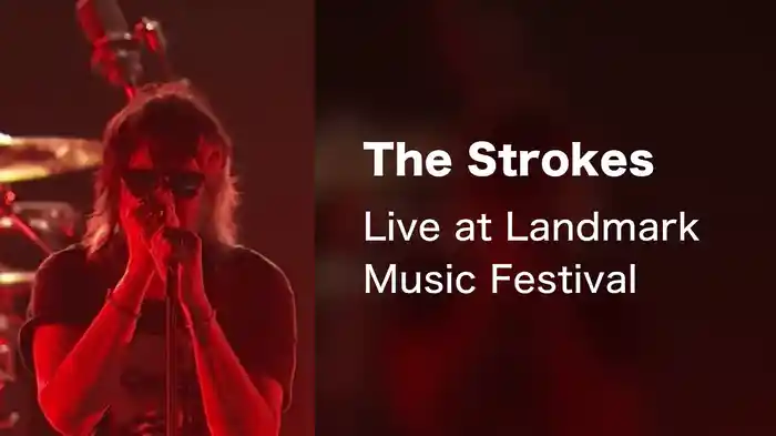 The Strokes - Live at Landmark Music Festival