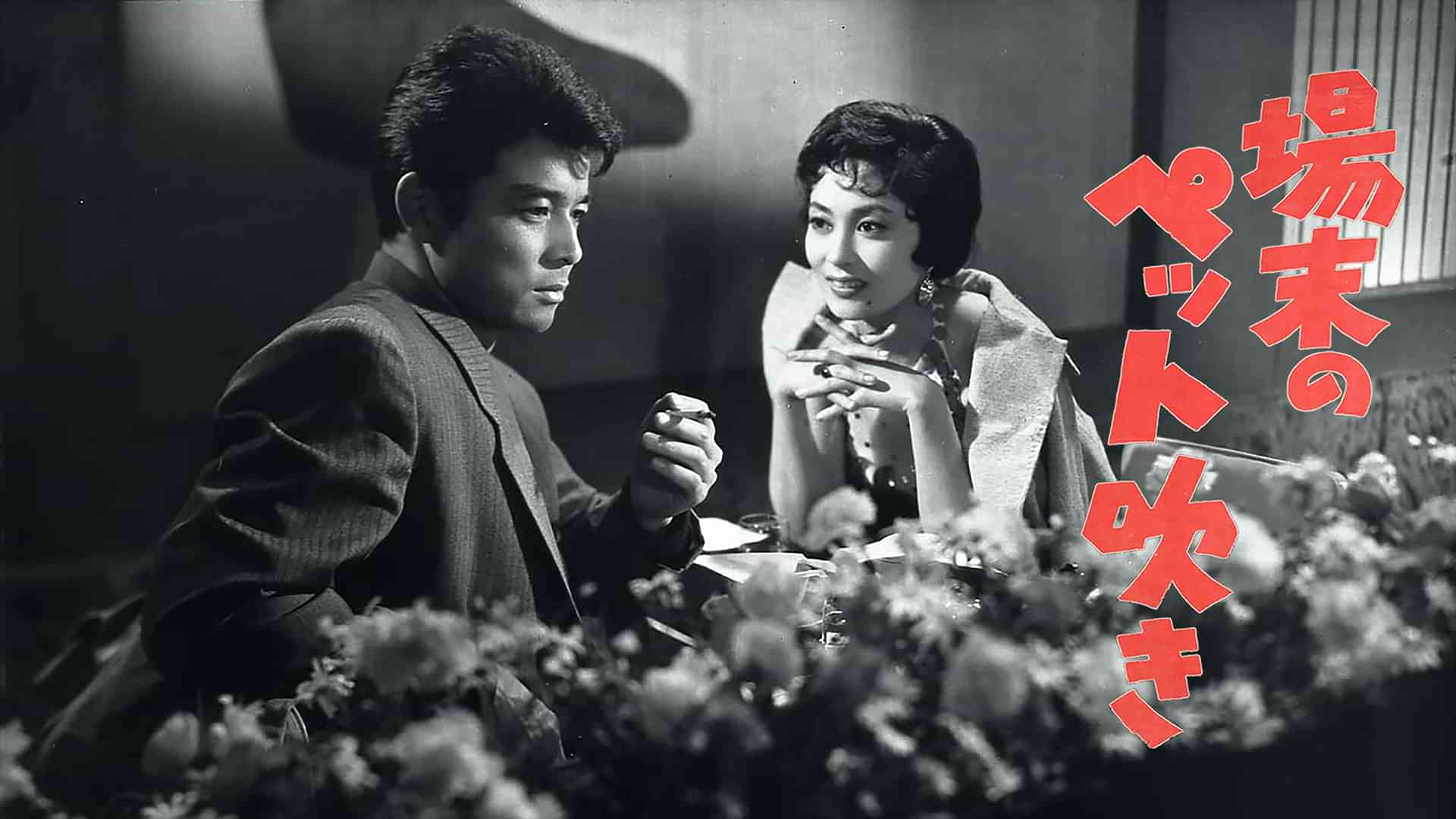 場末のペット吹き