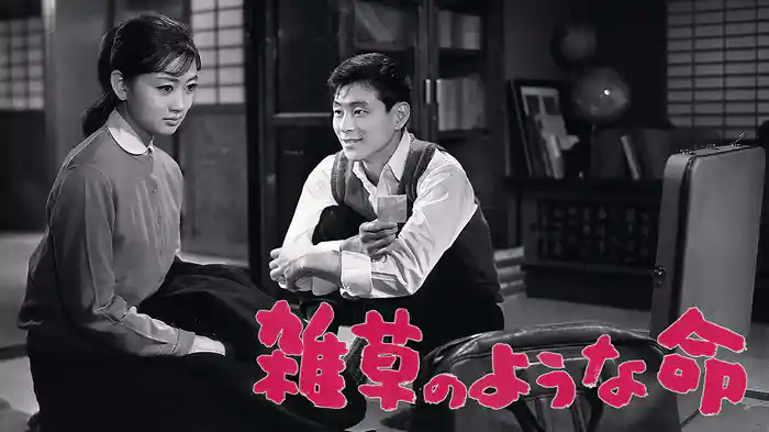 雑草のような命