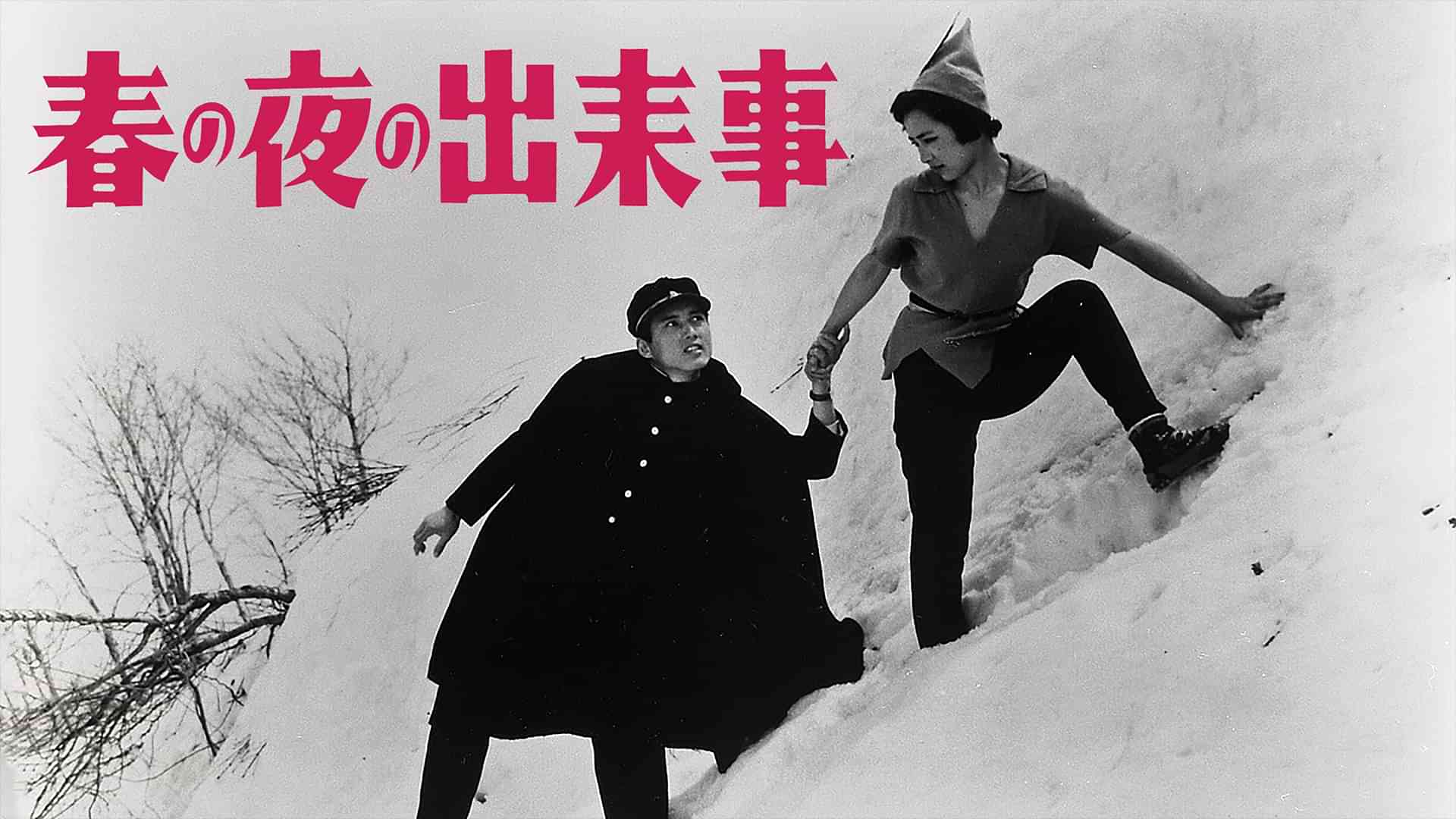 春の夜の出来事