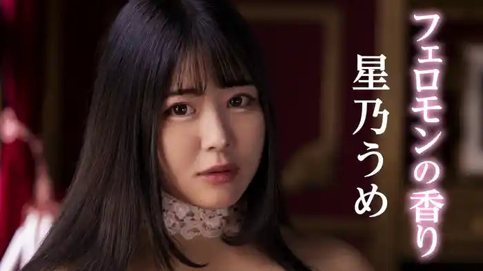 星乃うめ『フェロモンの香り』